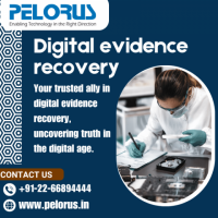 Pelorus | Digital evidence recovery