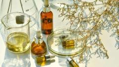 Botanical Pharmaceutical-Grade Extracts