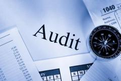 Best Audit Firms In India
