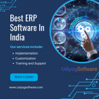 What kind of support and training does Udyog Software offer to its clients?