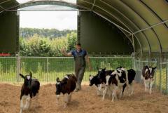 High Welfare Livestock Housing | Agri Span | McGregor Agri