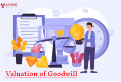 Valuation of Goodwill - Sapient Services