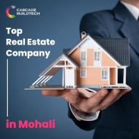 Top Real Estate Company In Mohali | Cascade Buildtech