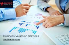 Business valuation services - Sapient Services