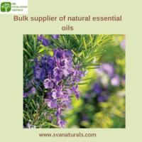 Bulk Supplier of Natural Essential Oils | Sri Venkatesh Aromas