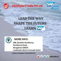 Learn SAP S/4 Hana, Light your future with SAP Global Certification