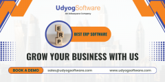 In what ways does Udyog Software address the unique challenges faced by Indian businesses through it
