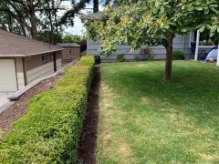 Landscaping service near me | All American Land Maintenance and Handyman