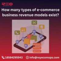How many types of e-commerce business revenue models exist?