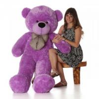 Uncover The Mystery Of The Purple Bear