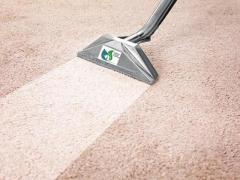 Carpet cleaning specialties | Farriss Carpet and Cleaning Services