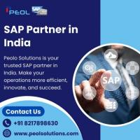 SAP Partner in India