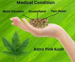 Buy Astro Pink Kush Online in Canada