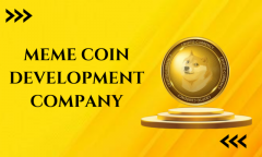Reshape the Crypto Landscape with the Support of Meme Coin