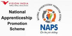 Exploring the National Apprenticeship Promotion Scheme: A Comprehensive Overview