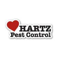 Comprehensive Termite Pest Control Solutions in Houston by Hartz Pest Control