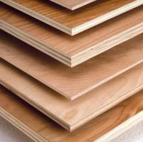 Plywood Sheets in Hyderabad | Best Plywood Dealers & Suppliers - Patels Hardware