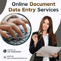 Document Data Entry Services at Best Price In India