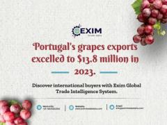 Portugal import export data | Global import export data provider