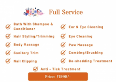 Convenient Pet Grooming Services at Home in Delhi | Snouters