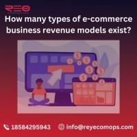 How many types of e-commerce business revenue models exist?