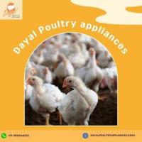 Best Hen Incubators and Egg Incubators for Optimal Hatching Outcomes