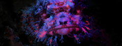 Enhance Underwater Visibility with Underwater UV Light