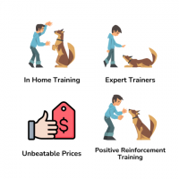 Master Dog Training with Snouters' Comprehensive Courses
