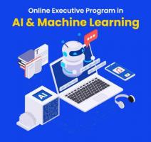 Online Executive Program in AI & Machine Learning