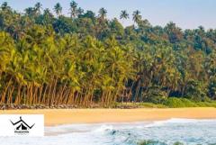 Unravel the Charms of Kerala: Exclusive Tours Tailored to You