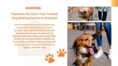 Pawsome Pet Care: Your Trusted Dog Walking Service in Snouters