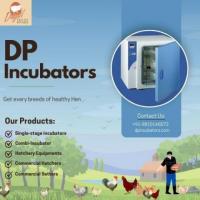  Choose DP Appliances for Reliable Egg Incubators and Solutions in Poultry Farming