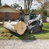 Get Expert Bobcat Removal Services for Property