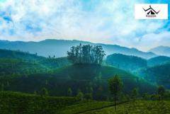 Authentic Kerala Experiences: Tailor-Made Tours for Discerning Travelers