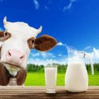A2 Milk in Kolkata - Puremilk