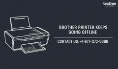 +1-877-372-5666 | Brother Printer Keeps Going Offline | Brother Printer Support