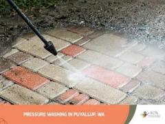 Cedar roof moss removal services | Fox Window Cleaning & Pressure Washing Services