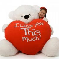 Express Your Love With A Romantic Teddy Bear 