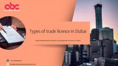 Exploring Trade License Varieties in Dubai.