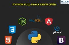 Python Full Stack Training in Noida