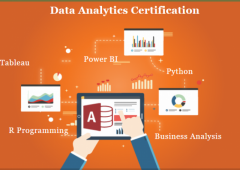 Data Analytics Course in Delhi.110061. Best Online Data Analyst Training in Srinagar by IIT Faculty 