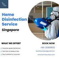 Ensure Cleanliness with Be Mitey Clean's Disinfection Service in Singapore