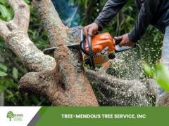 Nursery plants | Tree-Mendous Tree Service, Inc