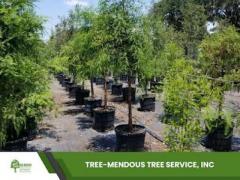 Nursery plants | Tree-Mendous Tree Service, Inc