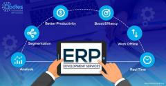 Invoidea Provides Best Custom ERP Software Development Services