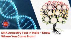 Get a DNA Ancestry Test in India at DNA Forensics Laboratory