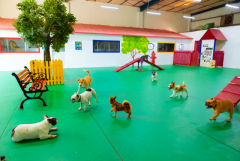 Dubai's Affordable Dog Boarding Services: A Home Away From Home