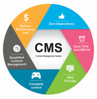 Stay Ahead in Technology with CMS Development Services