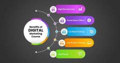 Digital Marketing Courses In Gulmohar Park