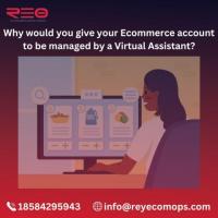 Why would you give your Ecommerce account to be managed by a Virtual Assistant?